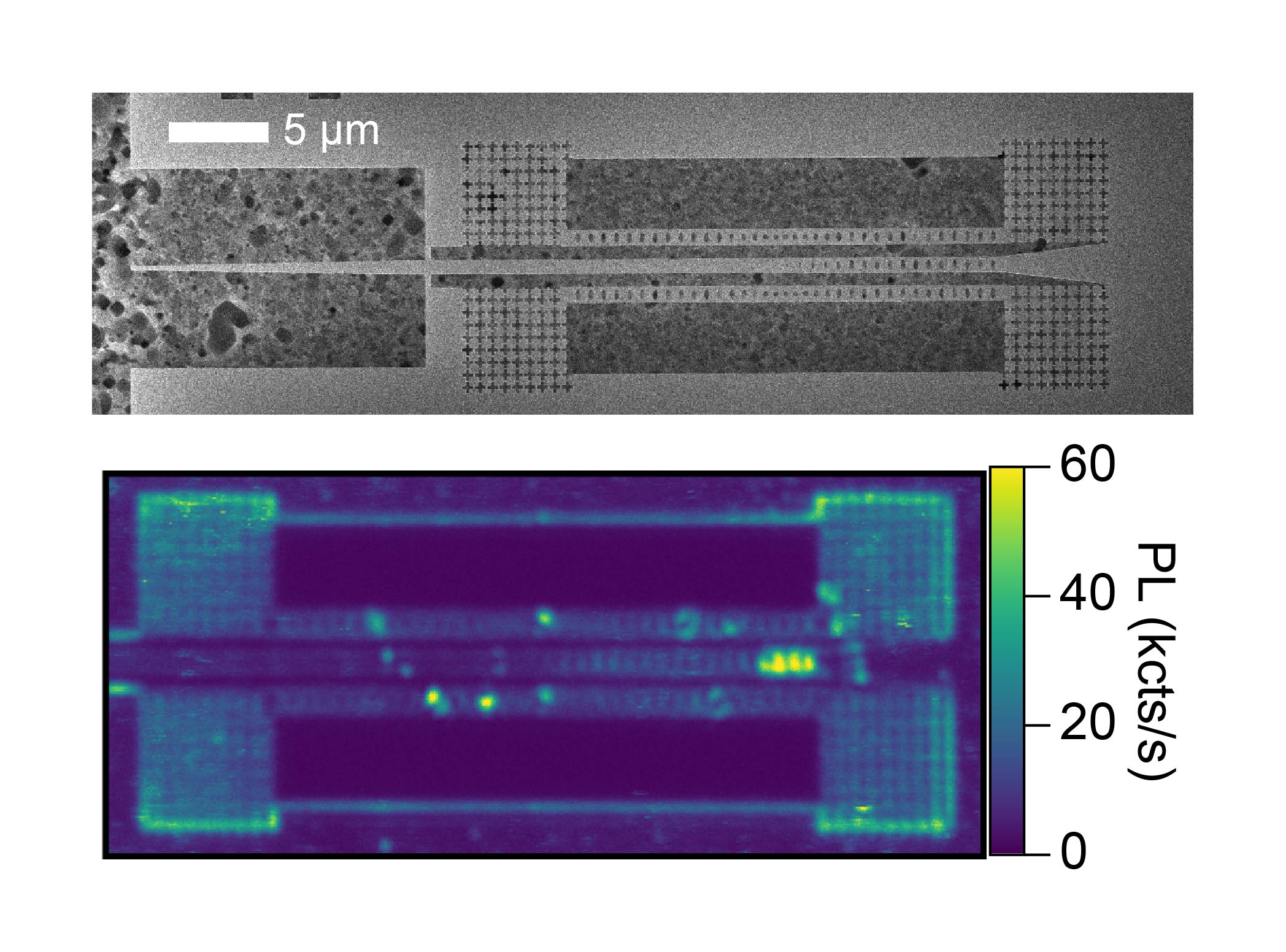 SEM micrograph of a suspended diamond optomechanical crystal nanobeam with a periodic array of holes